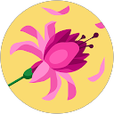 ChIJlc BAwcPkFQR2Q57jmY K U 364dde5c3549ef94b19baa8aa66813f8 Pandora smith profile picture