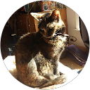 ChIJlc BAwcPkFQR2Q57jmY K U a7b764361c3b192ea7d6b44ab0a79a37 C Hark profile picture