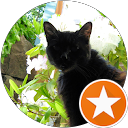 ChIJlc BAwcPkFQR2Q57jmY K U c7acee8ee0aaf78d2c1b6b498a6072fe Michael Marsters profile picture