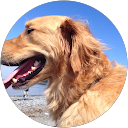 ChIJlc BAwcPkFQR2Q57jmY K U e9427994ae7b232686b481e35d8a3a29 Tamir Izhaky profile picture